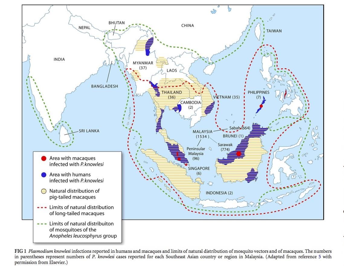 図マレーシアのマラリア
