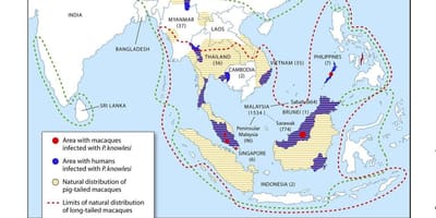 図マレーシアのマラリア